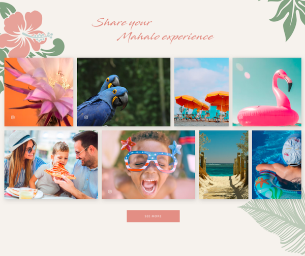 Screenshot showing the gcom_instagram module layout