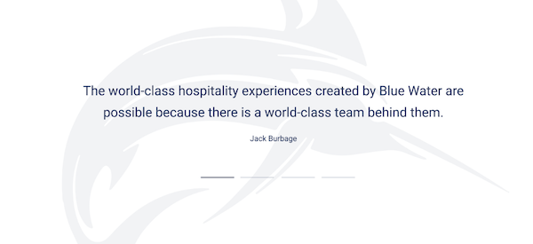 Screenshot showing the testimonial_slider module layout