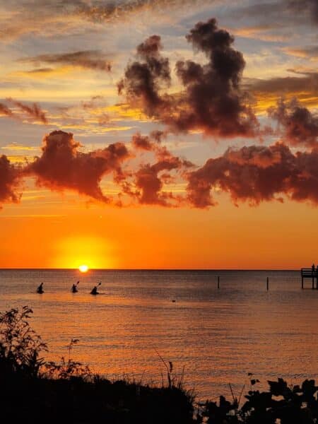 Sun Outdoors Cape Charles