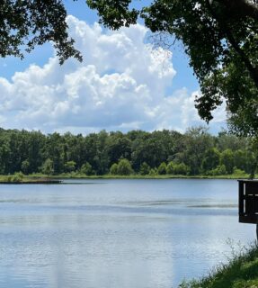 mobile-west-rv-resort-theodore-alabama-pond